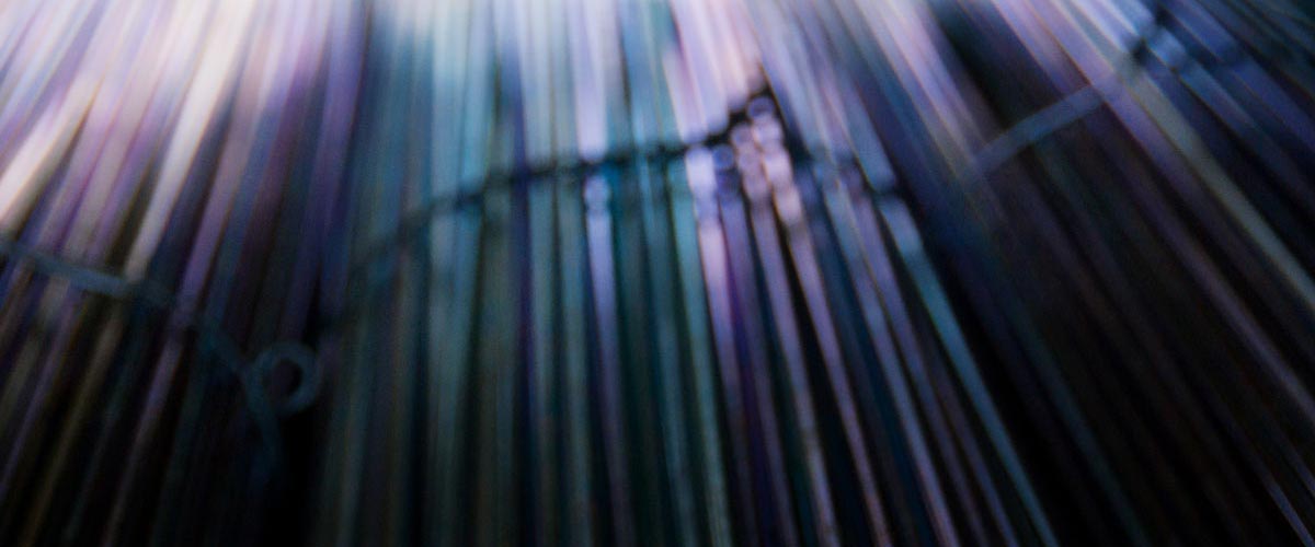 images/Foto_promo/promo5.jpg